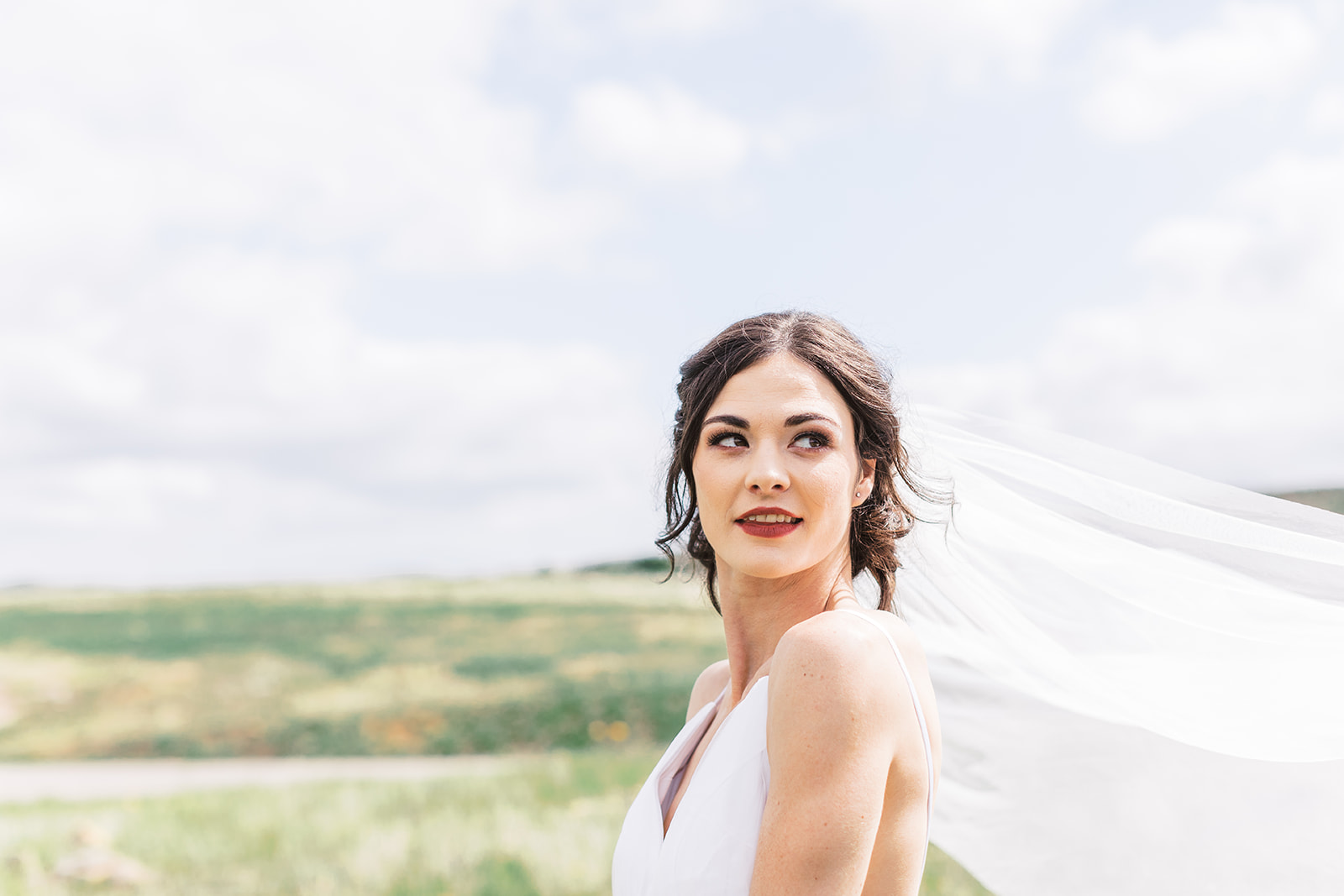 Before Hiring Your Wedding Photographer Dvandco